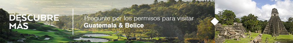 Renta por 7 dias y solo pagas 6